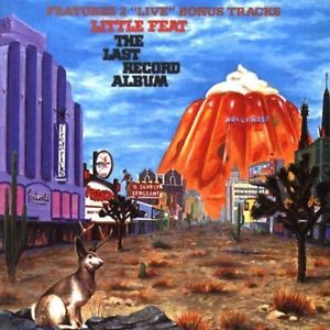 THE LAST RECORD ALBUM