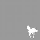 WHITE PONY