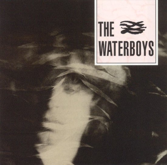 THE WATERBOYS