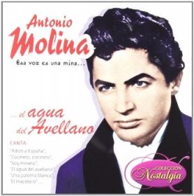 ESA VOZ ES UNA MINA... EL AGUA DEL AVELLANO