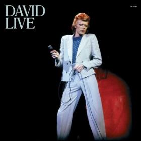 DAVID LIVE (2005 MIX) - 3 VINILO