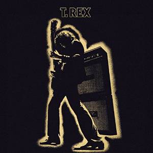 ELECTRIC WARRIOR -LP-