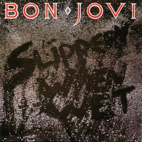 SLIPPERY WHEN WET -VINILO-