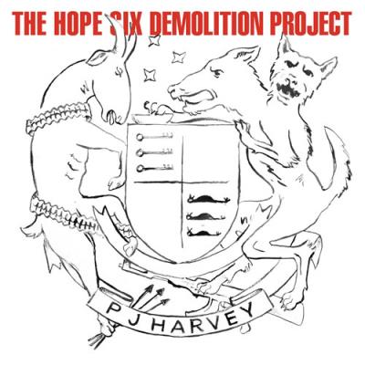 THE HOPE SIX DEMOLITION (DIG)