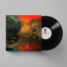 WE´VE BEEN GOING ABOUT THIS ALL WRONG -VINILO-
