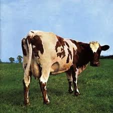 ATOM HEART MOTHER