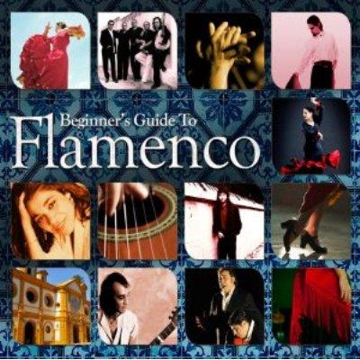 BEGINNERS GUIDE TO FLAMENCO