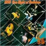 ONE NIGHT AT BUDOKAN