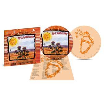 ROCK TRANSGRESIVO -VINILO PICTURE-