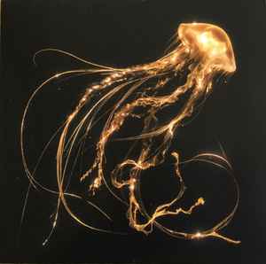 BACK TO THE WATER BELOW -VINILO-