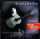 UN RAMITO DE VIOLETAS MANZANITA