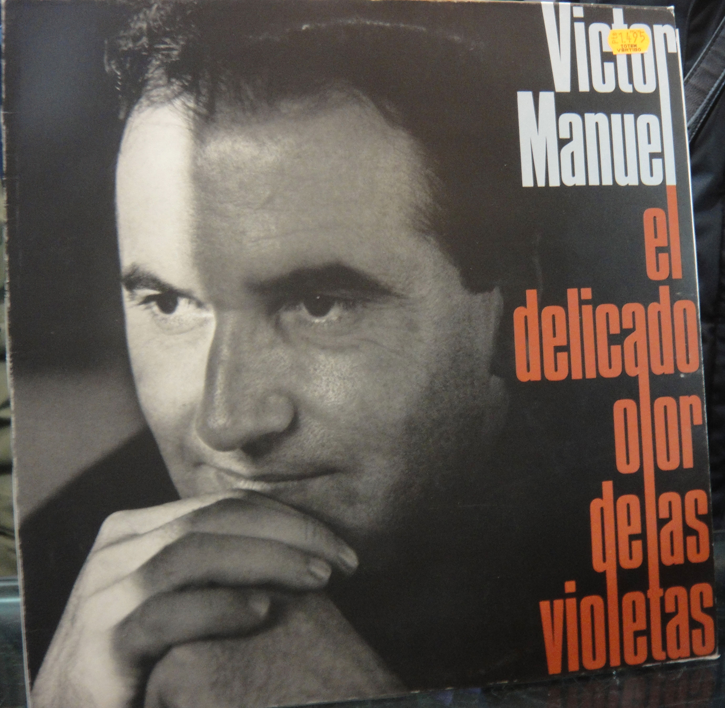 EL DELICADO OLOR DE LAS VIOLETAS