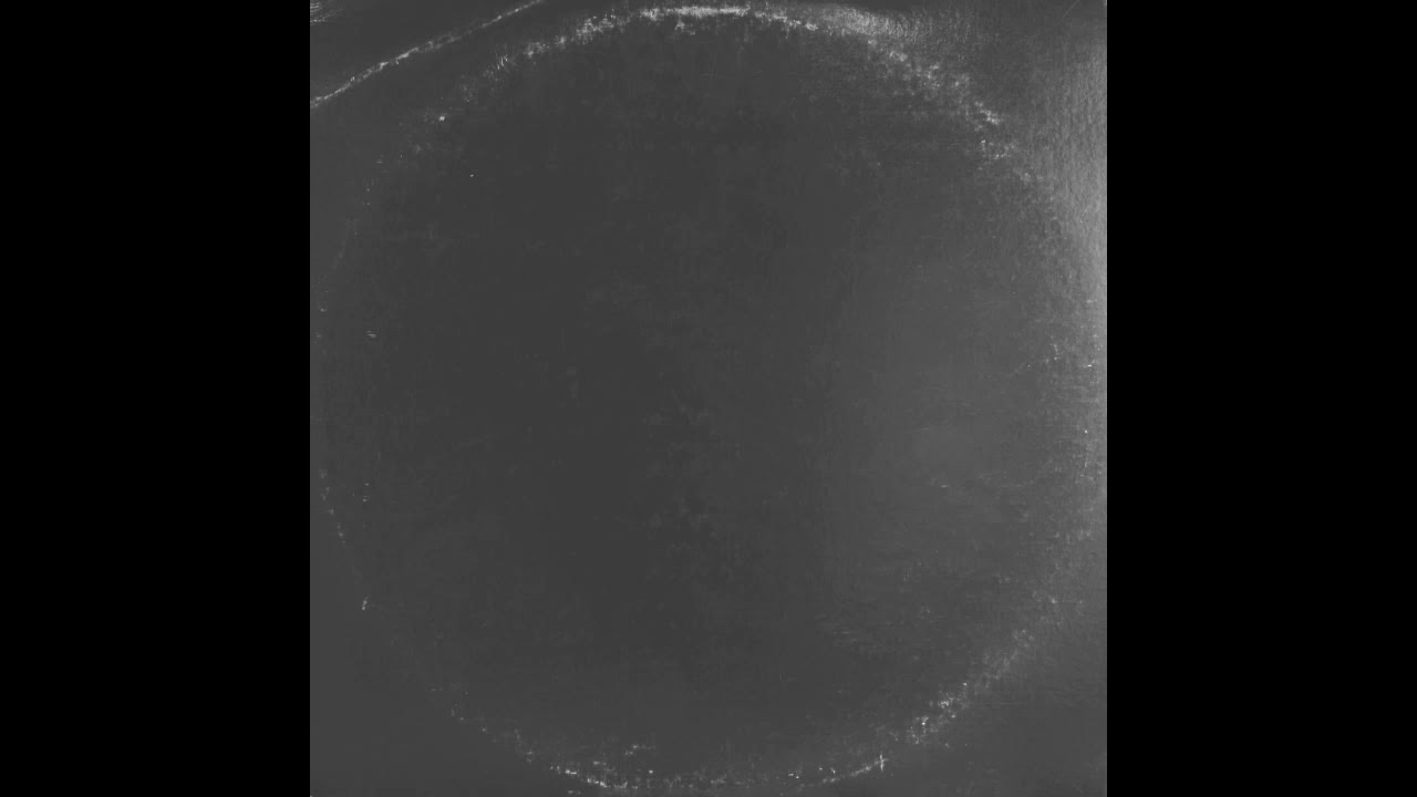 TRIANGULO DE AMOR BIZARRO 2020 -VINILO-