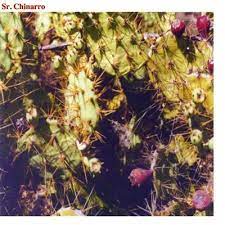 SR CHINARRO -VINILO ROJO-