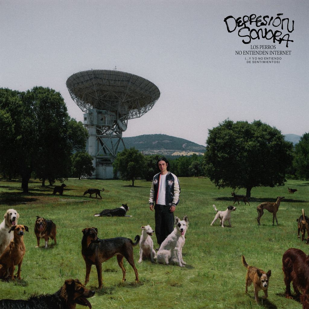 LOS PERROS NO ENTIENDEN DE INTERNET -VINILO-