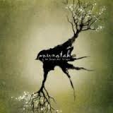 NUNATAK Y LAS LUCES DEL BOSQUE