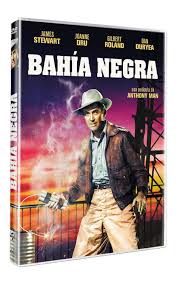 BAHIA NEGRA