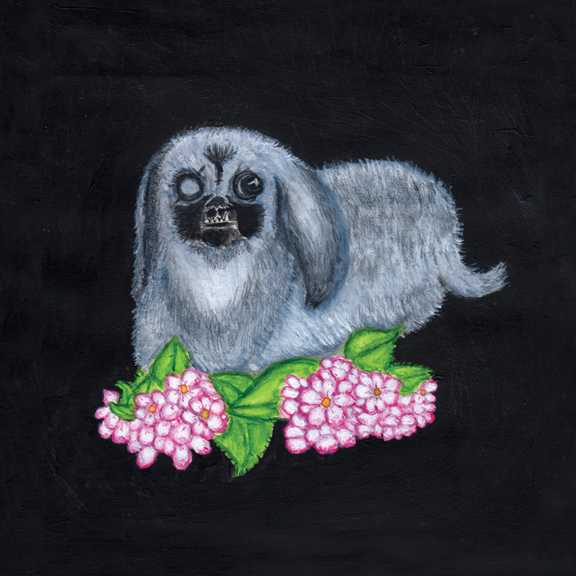 GUADALUPE PLATA -2017-