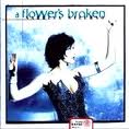 A FLOWERS BROKEN