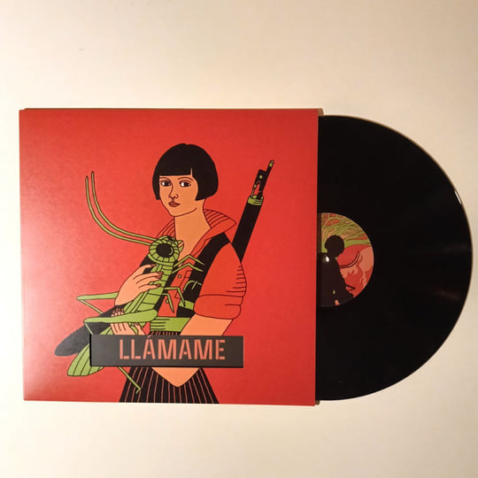 CONSUELO -VINILO TRANSPARENTE CARPETA TROQUELADA-