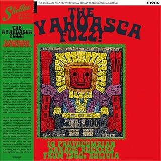 THE AYAHUASCA FUZZ -VINILO-