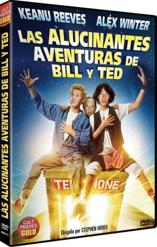 LAS ALUCINANTES AVENTURAS DE BILL Y TED