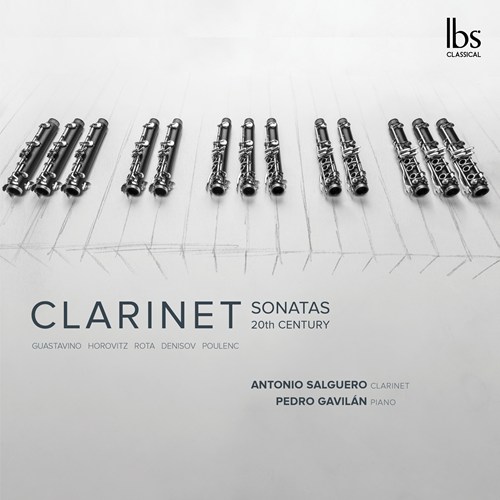 CLARINET SONATAS 20TH CENTURY