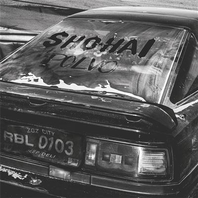 POLVO -VINILO COLOR-